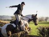 A person wearing equestrian attire is riding a horse, which is mid-jump over a tall hedge in a rural landscape. The background shows green fields and hills under a clear blue sky. The horse is predominantly white with dark patches, and the rider is holding a riding crop.