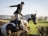 A person wearing equestrian attire is riding a horse, which is mid-jump over a tall hedge in a rural landscape. The background shows green fields and hills under a clear blue sky. The horse is predominantly white with dark patches, and the rider is holding a riding crop.