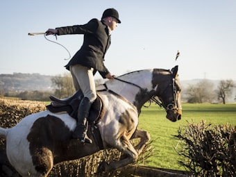 A person wearing equestrian attire is riding a horse, which is mid-jump over a tall hedge in a rural landscape. The background shows green fields and hills under a clear blue sky. The horse is predominantly white with dark patches, and the rider is holding a riding crop.