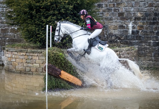 man riding on horse jumping over hedge in Derbyshire United Kingdom