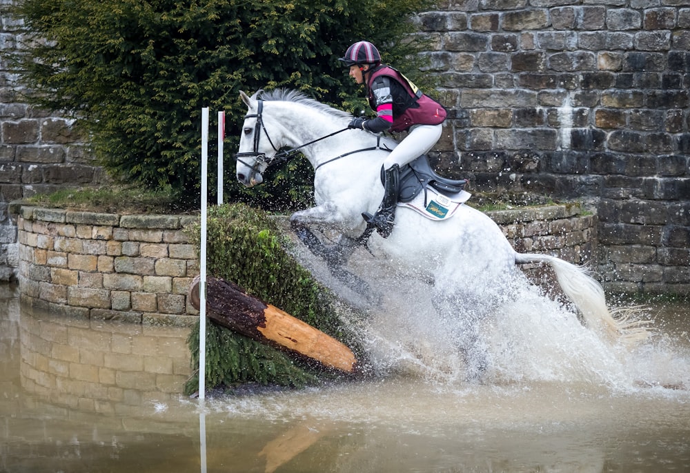 man riding on horse jumping over hedge