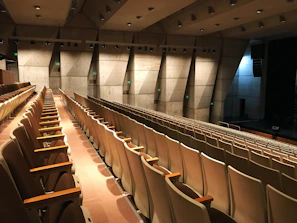 The empty auditorium bathed in soft sunlight, echoing with past memories.
