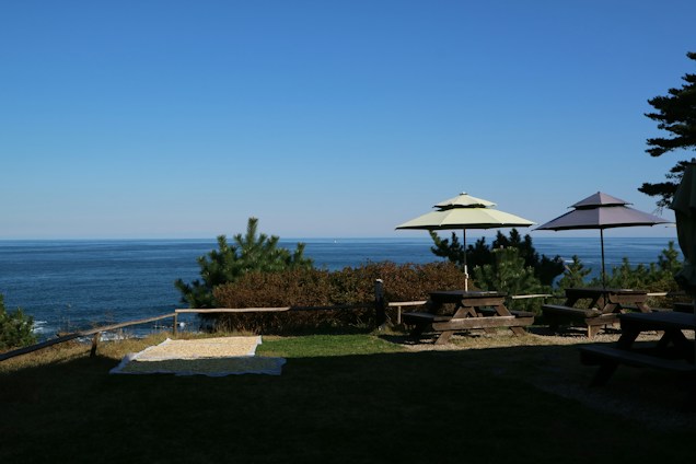 A serene coastal scene featuring a grassy area with picnic tables and umbrellas overlooking the ocean. Pine trees and shrubs line the edge of the area, with a tranquil blue sky above.