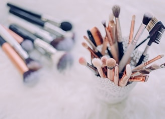 makeup brush lot