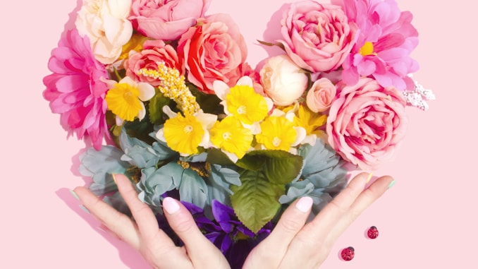 person holding bouquet of flower