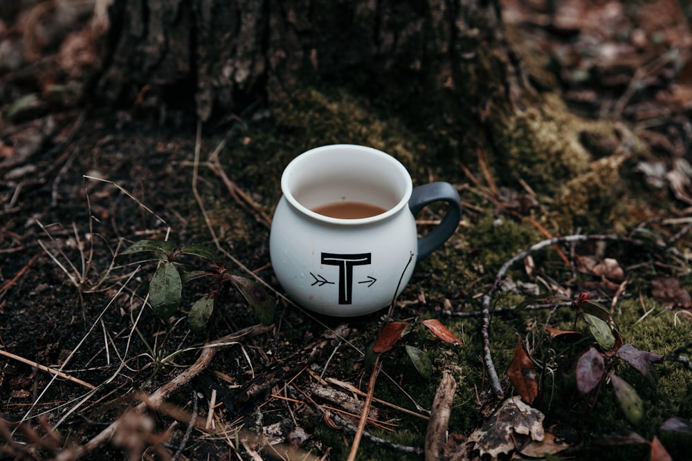 a cup of tea sitting on the ground next to a tree