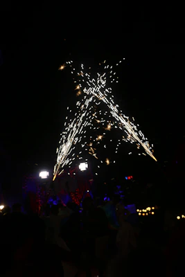 A family gathered in a backyard, watching fountains and roman candles light up the evening.