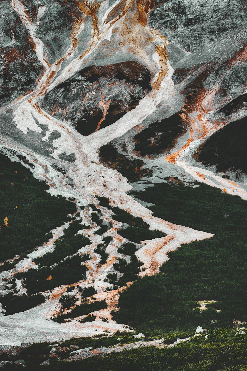 aerial photography of mountains and trees