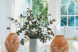 A bright, airy room featuring a central arrangement of lush green eucalyptus leaves in a cylindrical gray vase. Flanking the vase are two wicker lanterns with large handles. In the background, a soft couch or bed is accented with large white pillows. Sunlight streams through large glass windows, casting a serene glow on the decor.