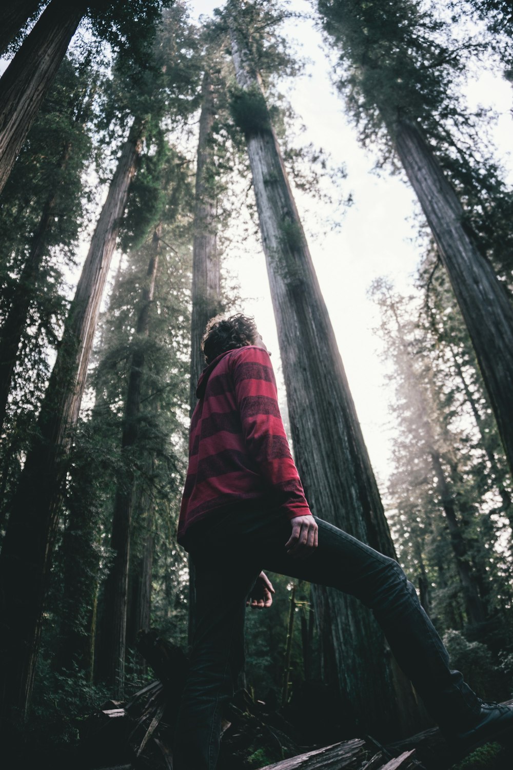 man standing at forest