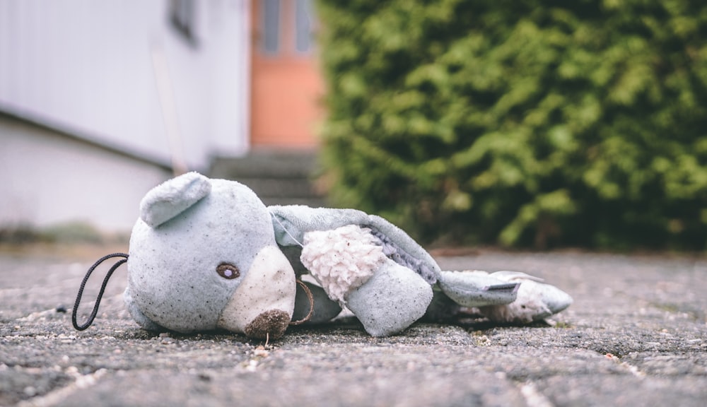 Foto de oso de peluche en el pavimento