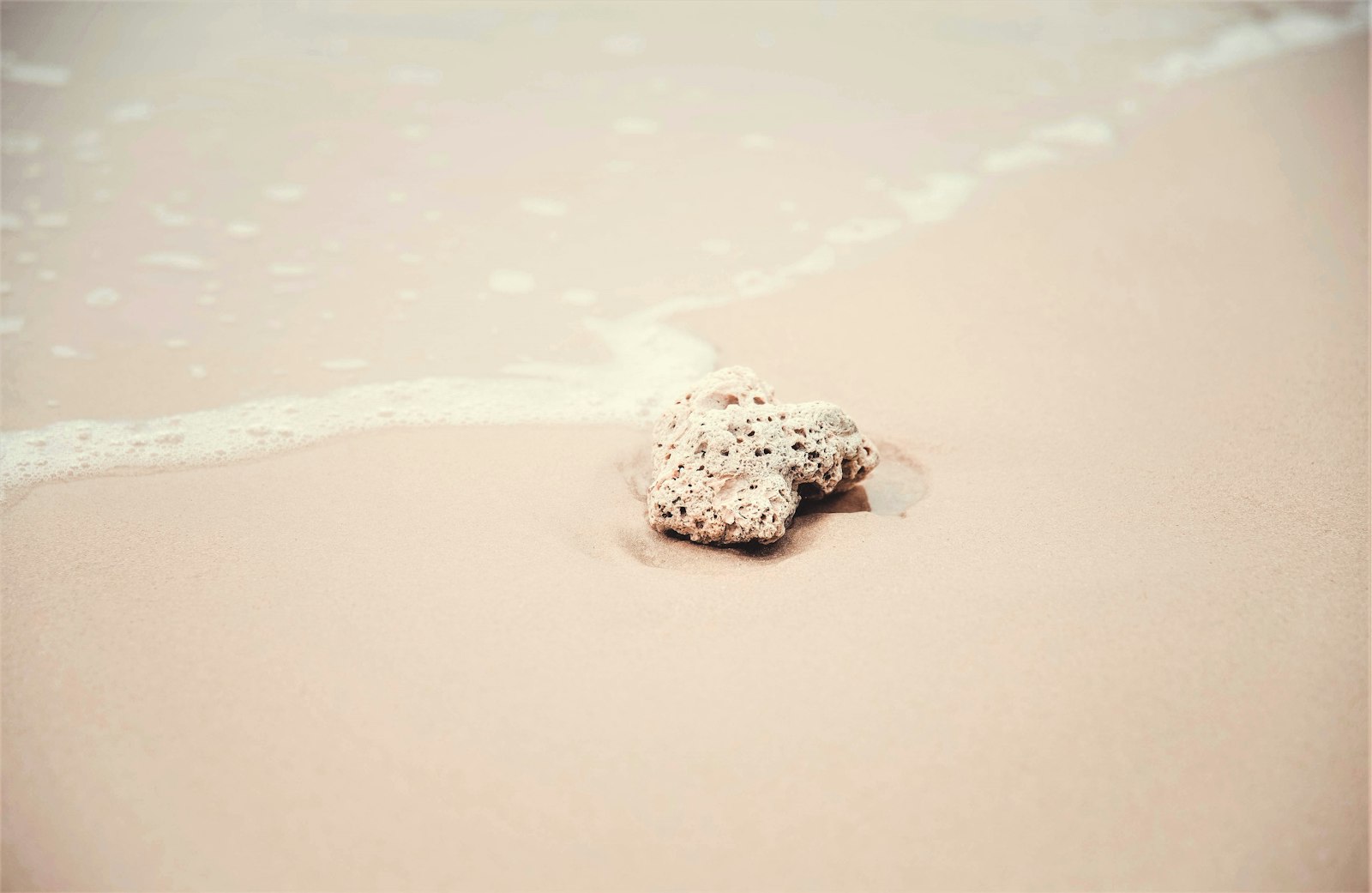 Canon EOS 6D + Sigma 17-70mm F2.8-4 DC Macro OS HSM sample photo. White sea shell beside photography