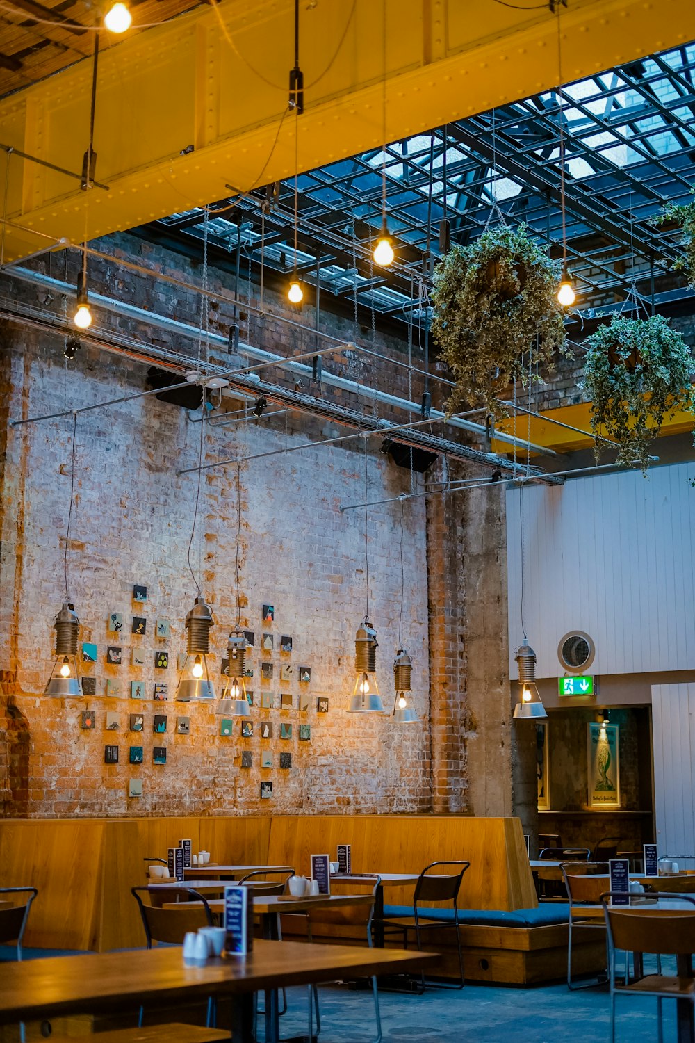 hanging vine plants over dining tables