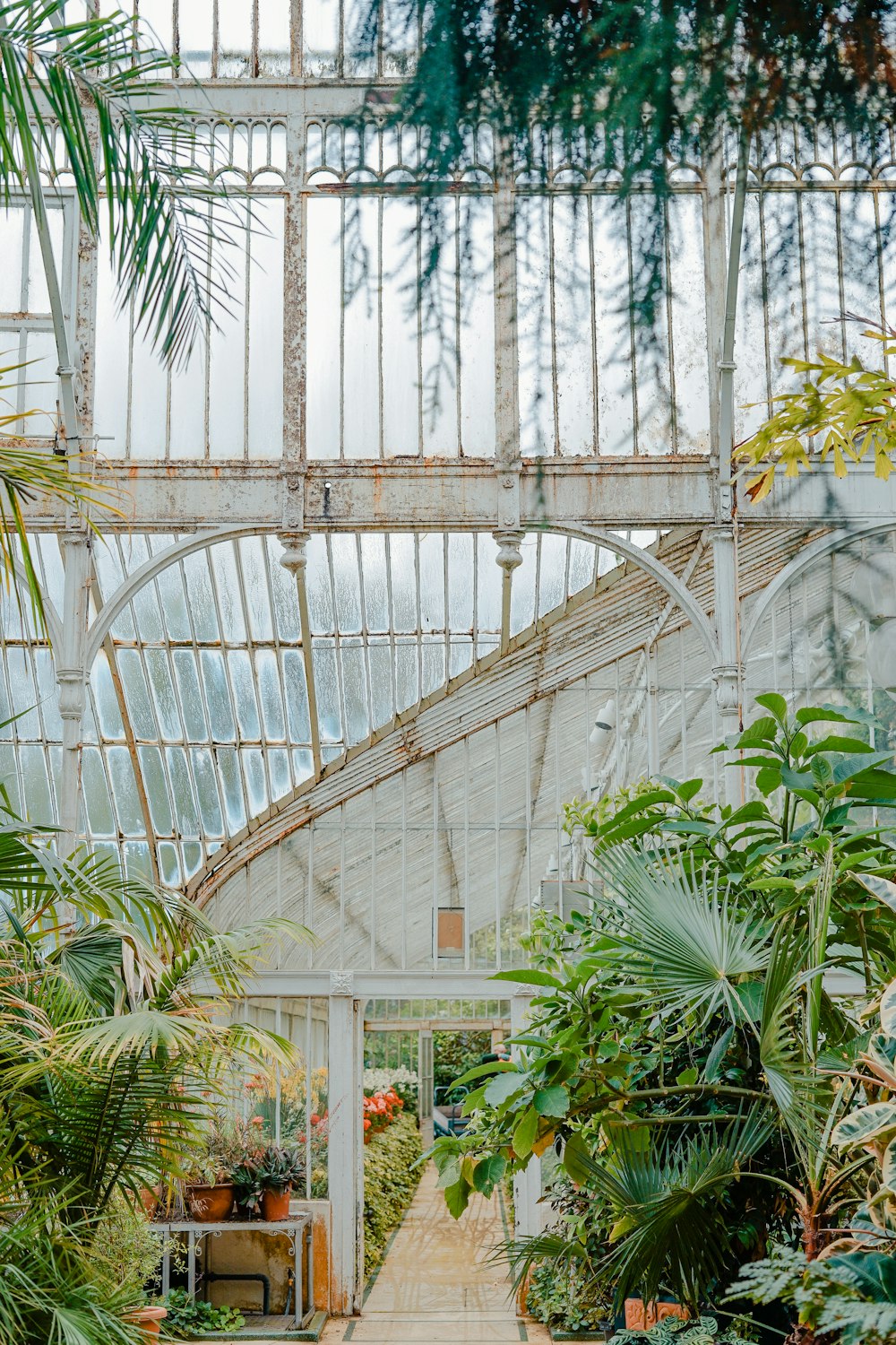 植物に囲まれた白い庭のフェンスの写真