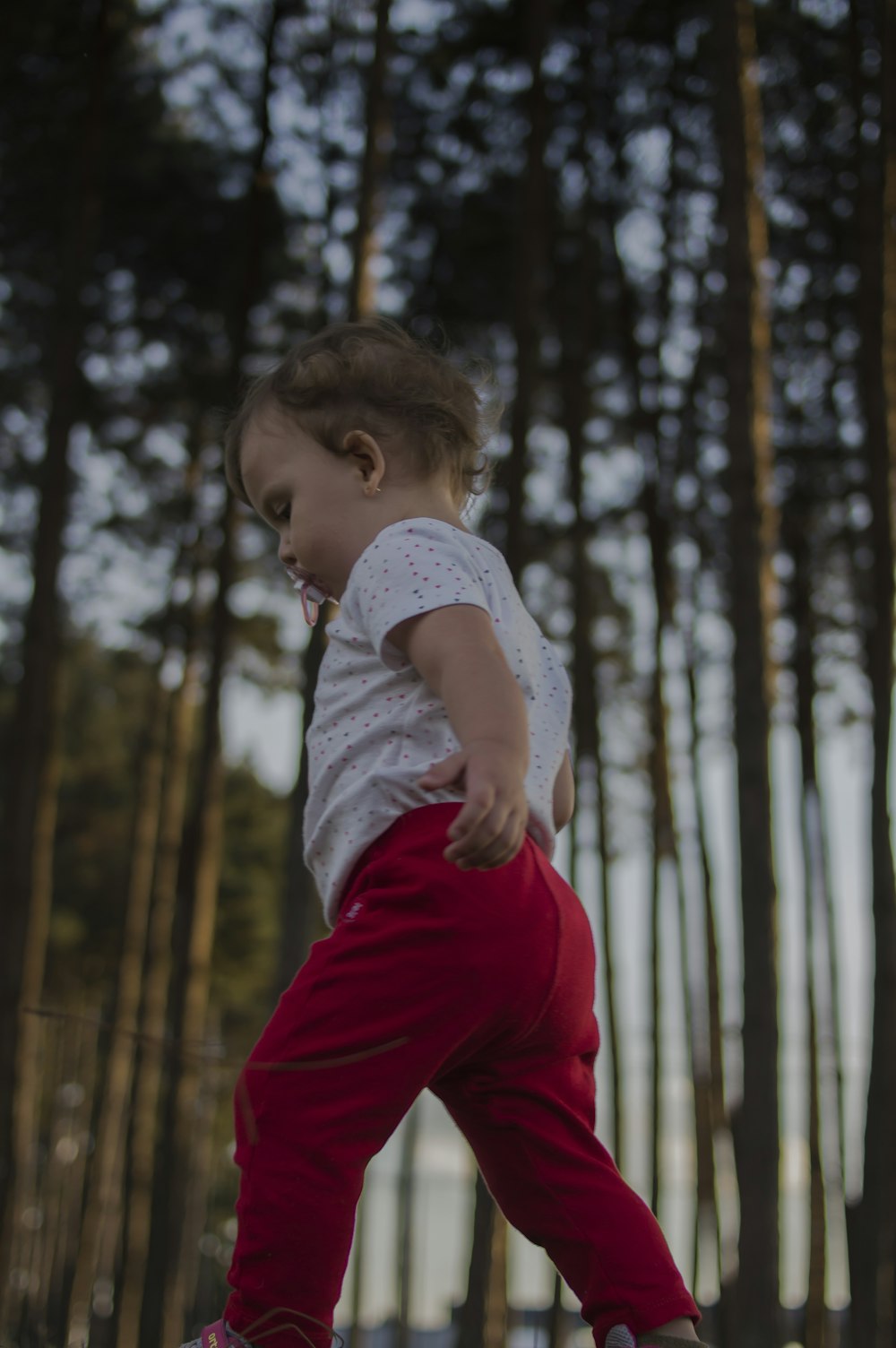 toddler walking near trees during daytime