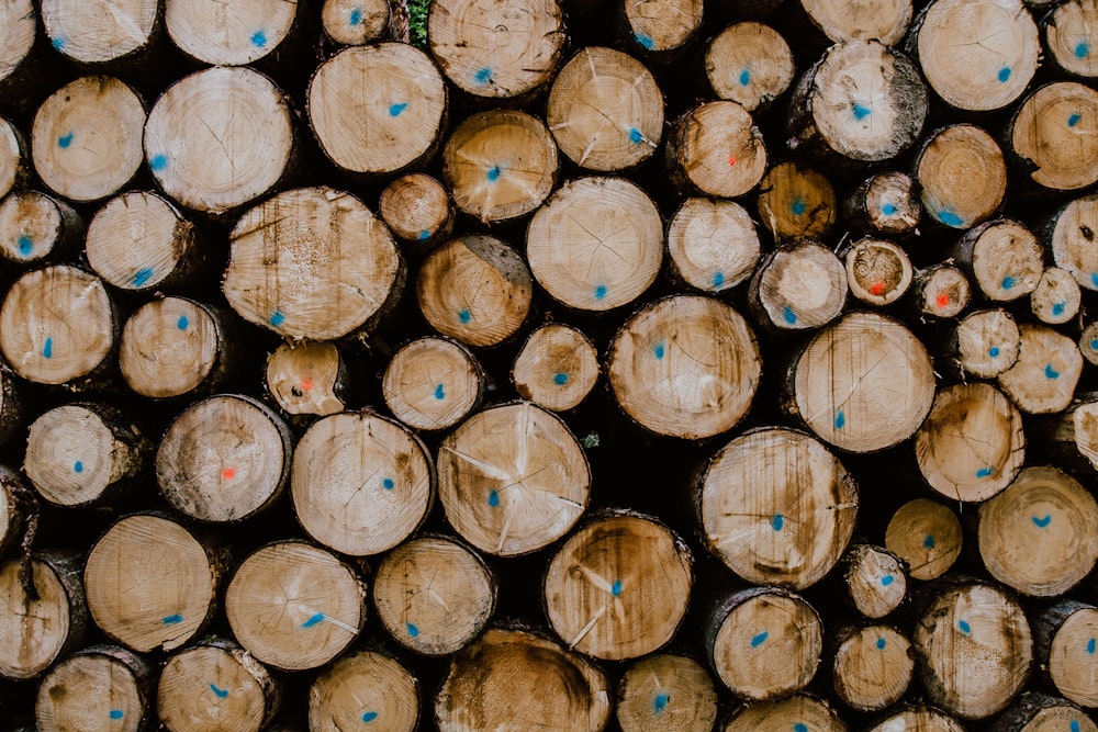 Photo de mise au point peu profonde de bois de chauffage bruns