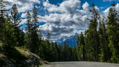 A lush forested pass in Snoqualmie.