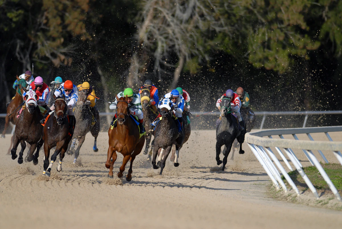 Horse and jockey at full pace, shallow focus