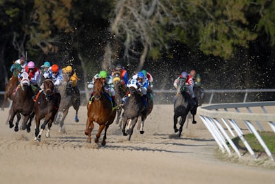 Race horses competing