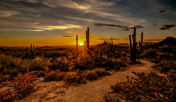 A view of Scottsdale, AZ