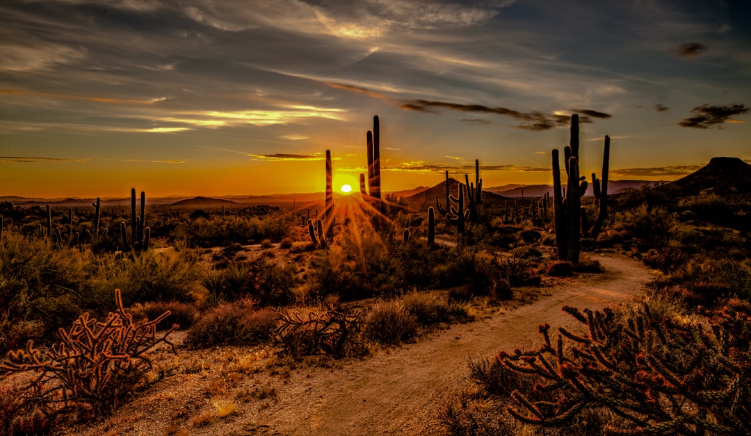 Ecoregion photo spot Scottsdale Peoria