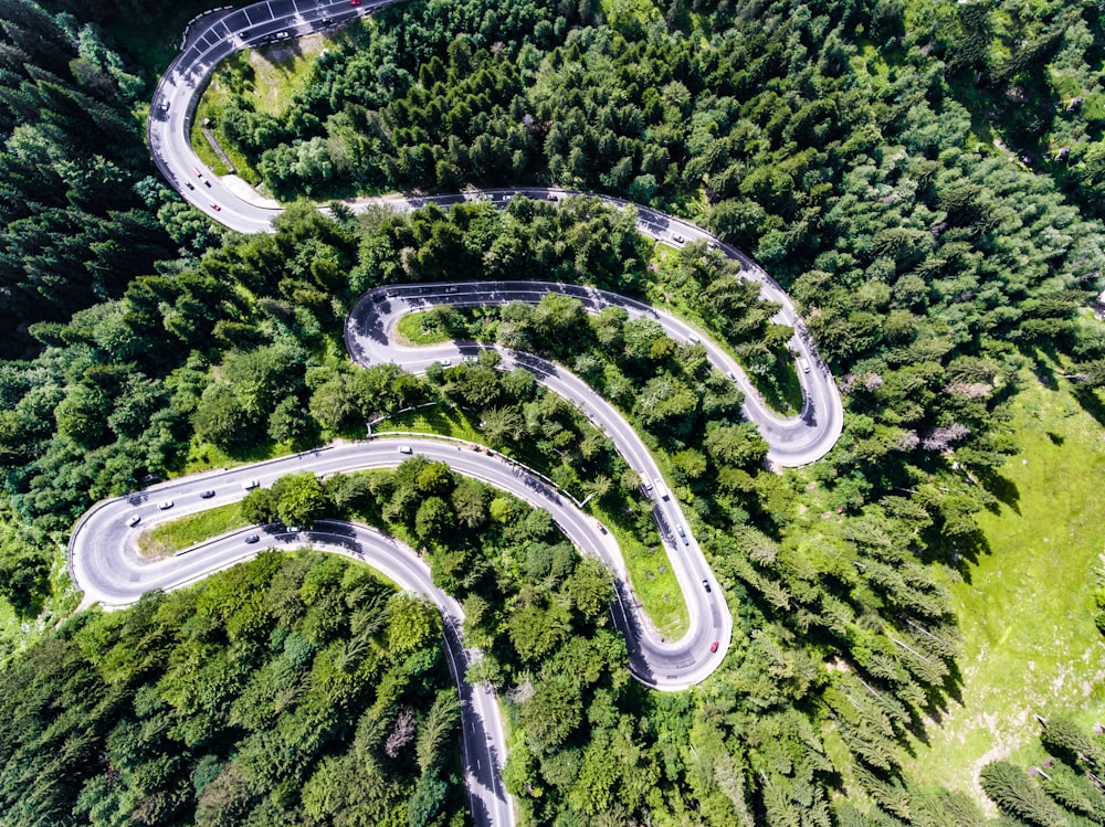 aerial view of zig zag road surrounded by trees