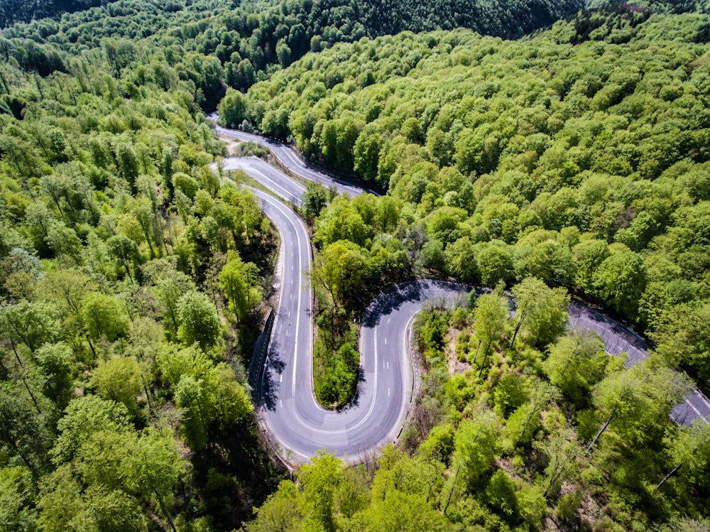 aerial view photography of mountain pass surrounded by trees