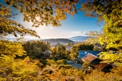 A peaceful scene of a traveler meditating near a serene temple in Japan at sunrise.