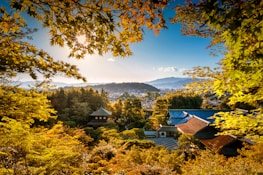 A peaceful scene of a traveler meditating near a serene temple in Japan at sunrise.
