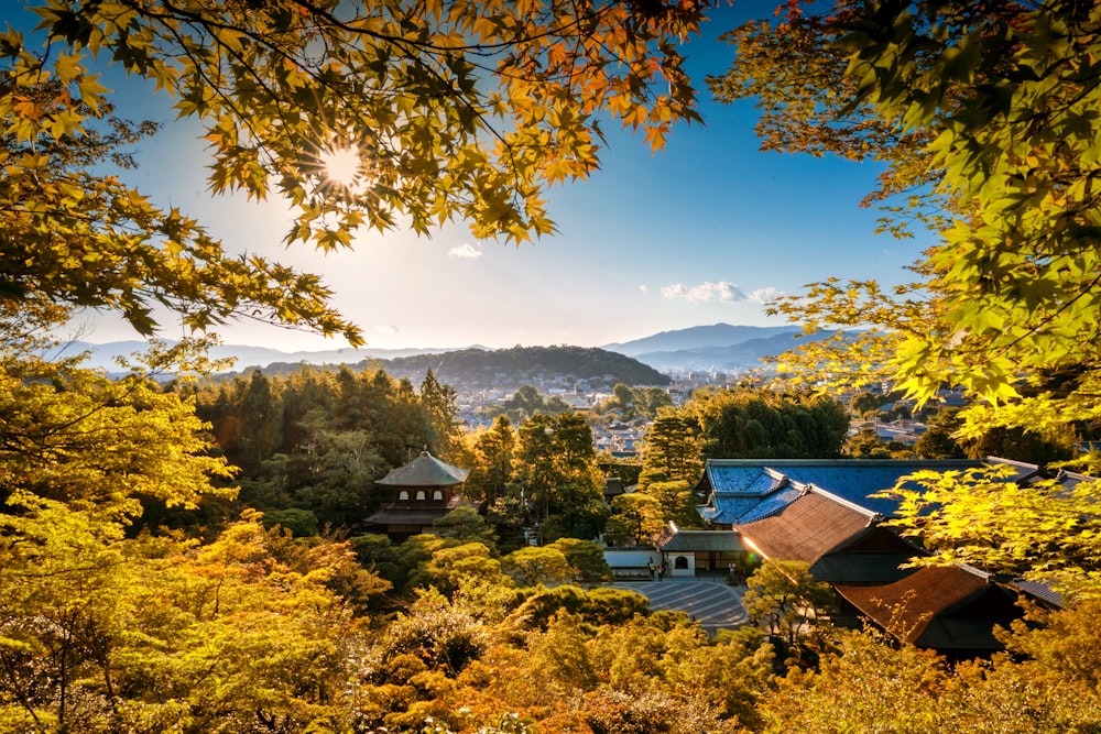 나무와 산의 풍경 사진