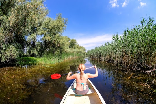 woman riding boat holding paddle in Danube Delta Biosphere Reserve Romania