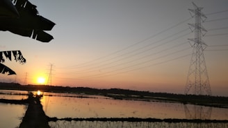 High-voltage power lines stretch across a serene landscape at sunset. The sun sets on the horizon, casting a warm glow over the fields and reflecting on the water below. Silhouettes of electrical towers and palm leaves appear against the gradient sky.