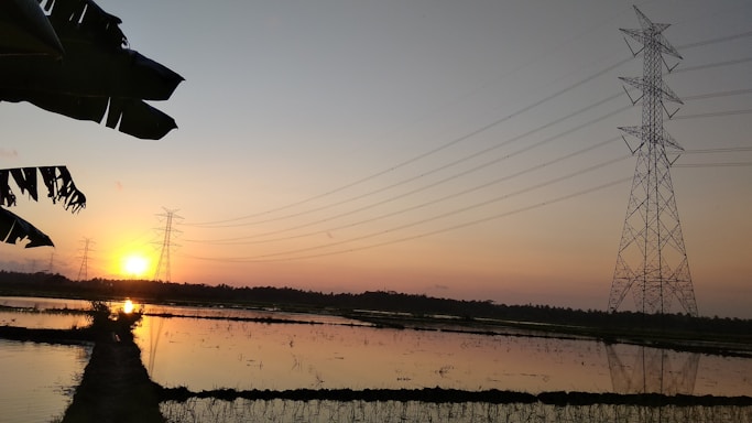 High-voltage power lines stretch across a serene landscape at sunset. The sun sets on the horizon, casting a warm glow over the fields and reflecting on the water below. Silhouettes of electrical towers and palm leaves appear against the gradient sky.