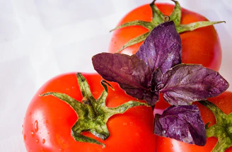 Close-up of a vibrant, ripe tomato and fresh herbs styled for a food market campaign.