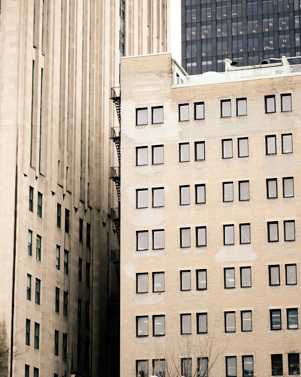 brown concrete building