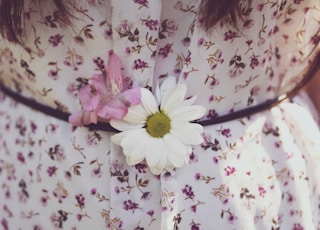 shallow focus photography of white flowe