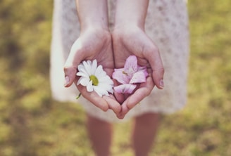 person holding flowers