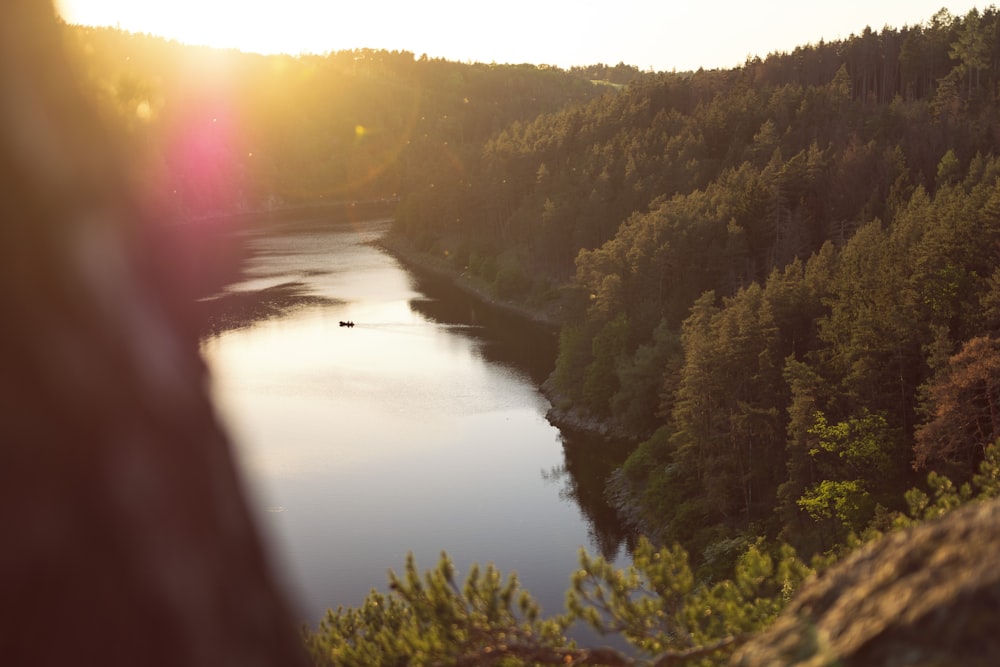 photo of body of water surrounded by green leafed trees