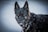 A German Shepherd dog is standing in a snowy environment, with snowflakes falling around it. The dog's fur is predominantly black with tan markings, and it wears a colorful collar. The background is a blurred white, suggesting a snow-covered landscape.