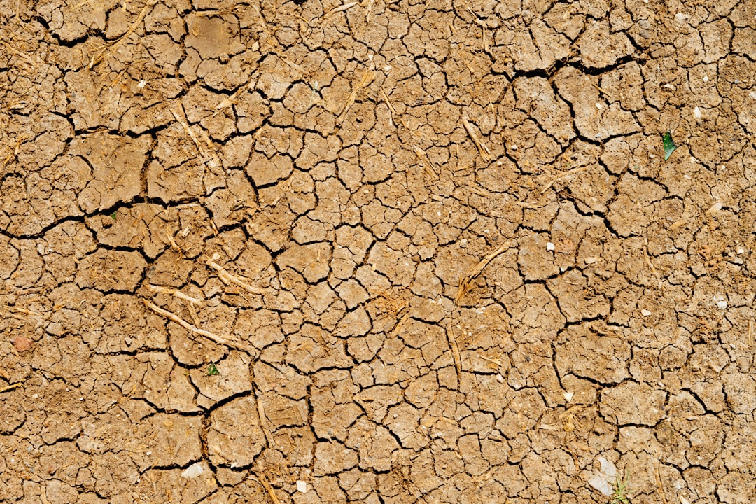 dry soil,
