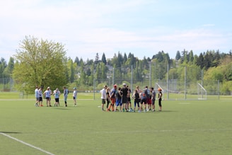 A group of people gathered on a sports field, forming two separate clusters. The field is surrounded by lush greenery and is equipped with goalposts, indicating it is likely a soccer field. The sky is clear and sunny, creating a bright and vibrant atmosphere.