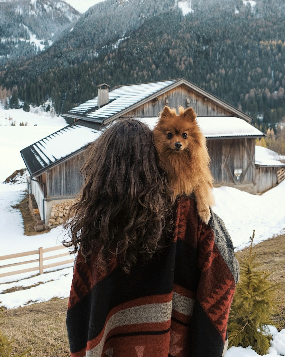 woman carrying dog walking towards cabin