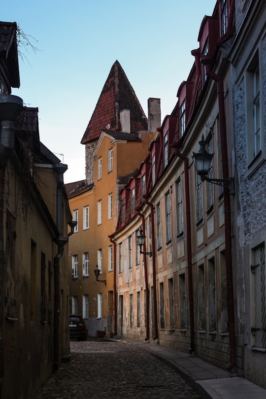 Tallinn things to do in Harku vald