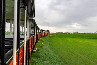 A rustic train winding through Provence-Alpes-Côte d’Azur countryside, framed by blooming lavender fields.