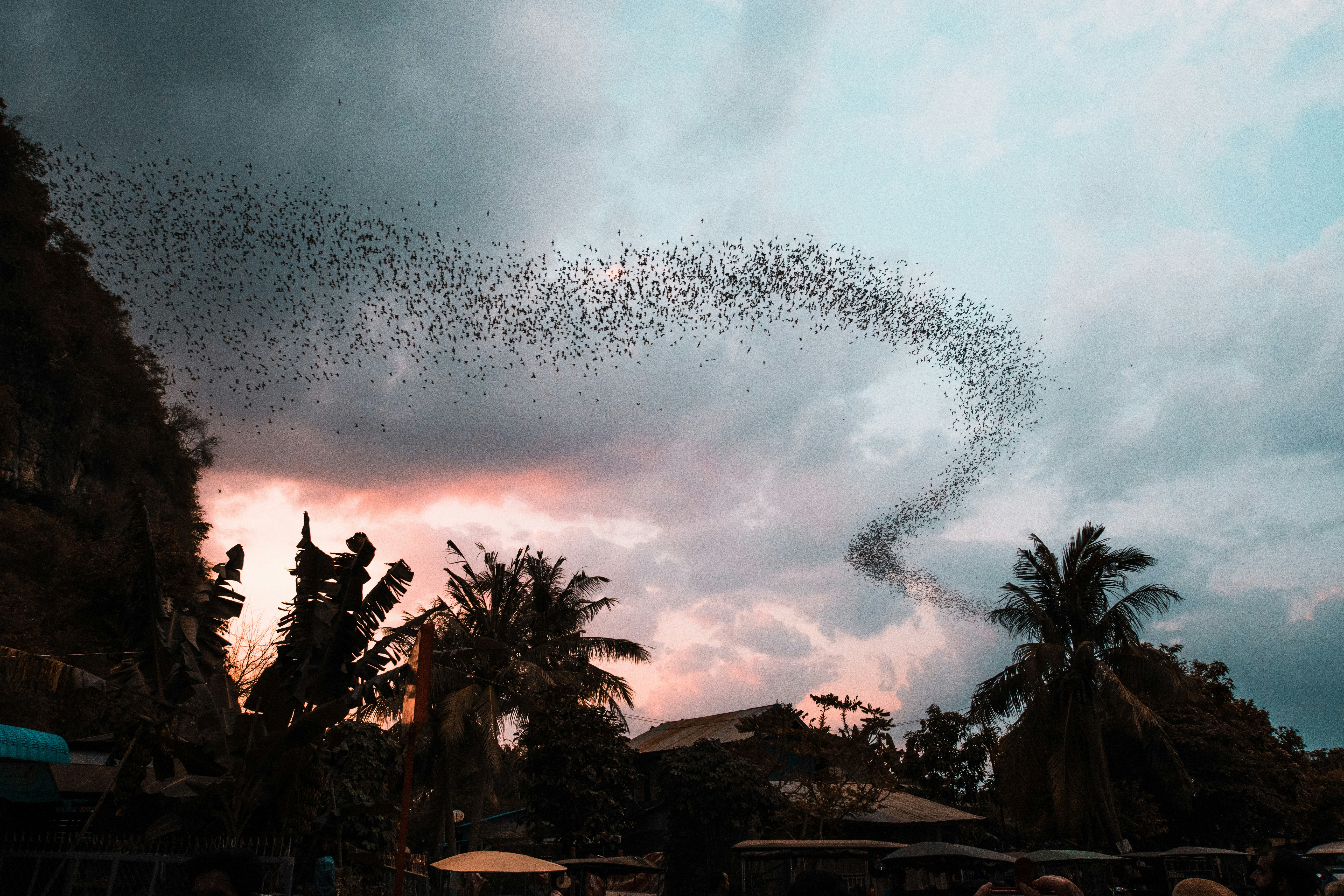 探索无限可能，免费H5旅游网站模板，让你的旅行宣传焕然一新