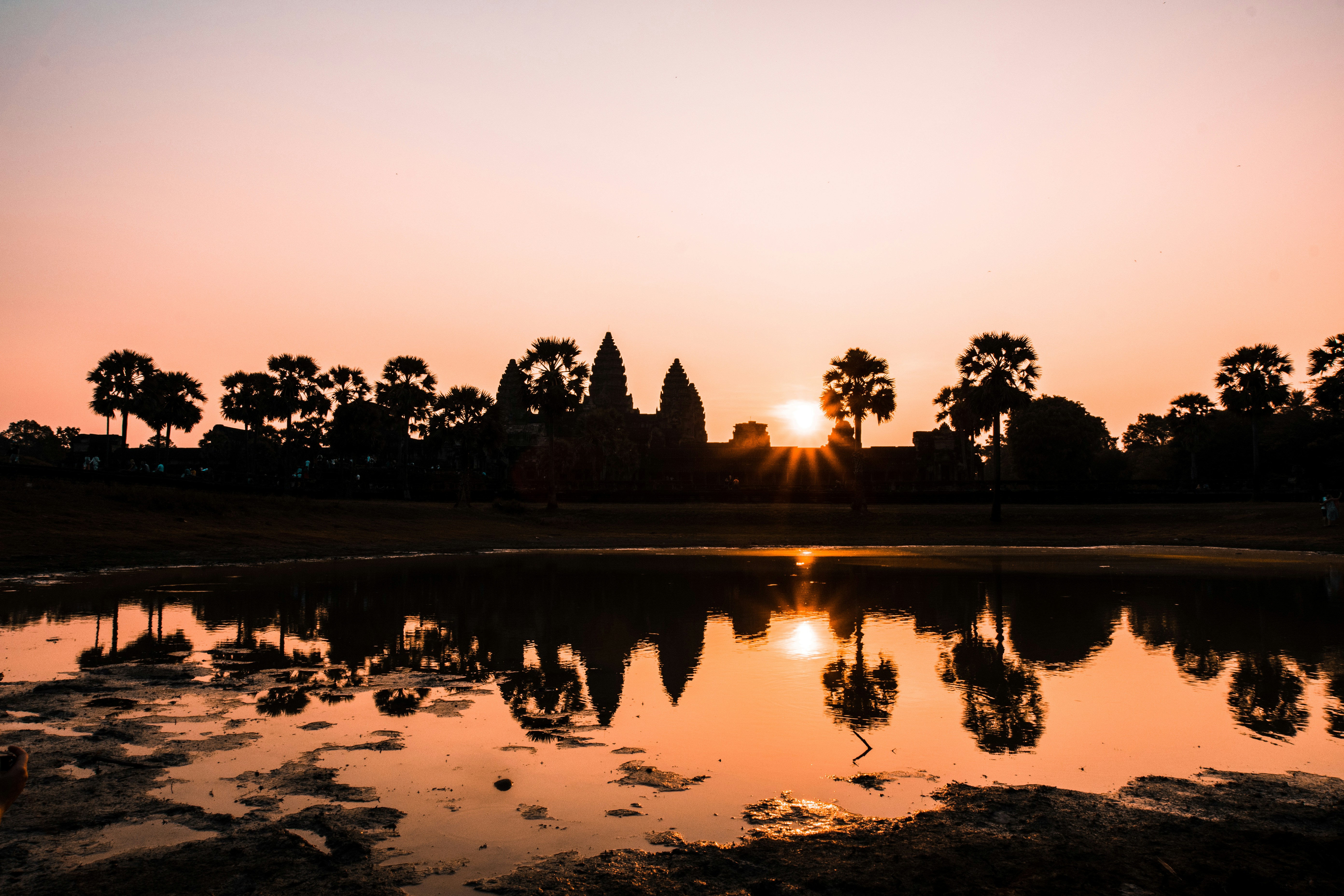 silhouette of trees cambodia zoom background