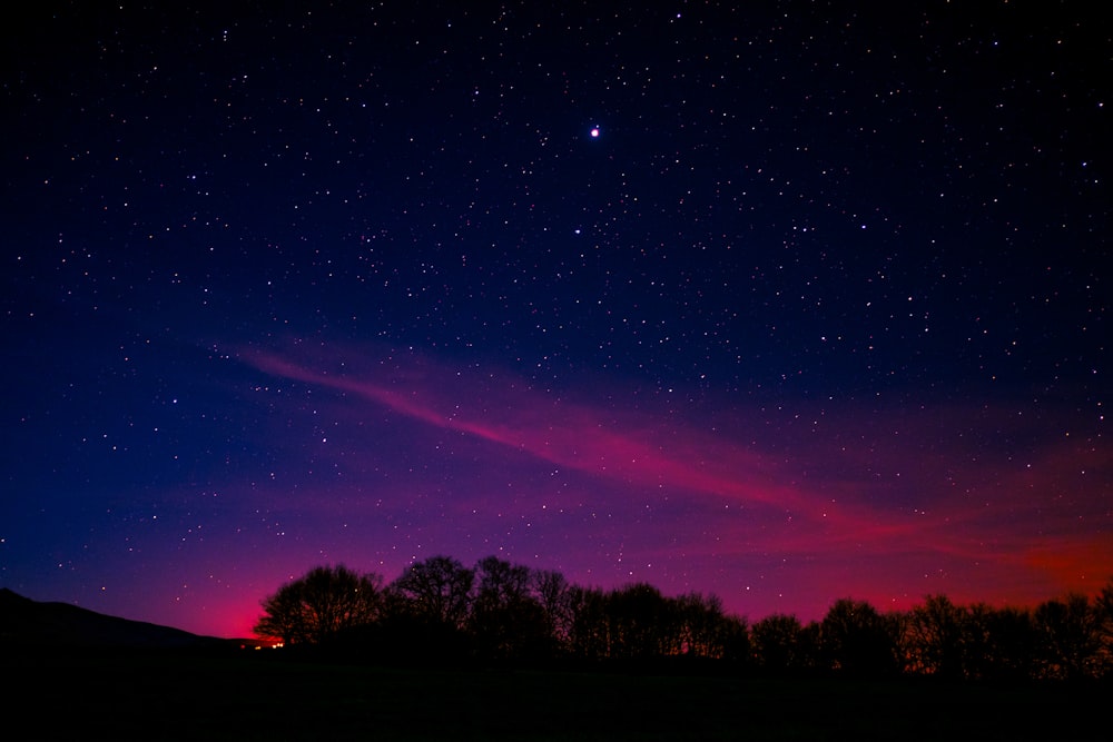 silhueta da árvore com nuvens cor-de-rosa sob a noite estrelada