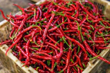 Close-up of vibrant red chili peppers neatly packed in crates at our Lucknow warehouse.