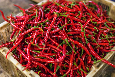 Close-up of vibrant red chili peppers neatly packed in crates at our Lucknow warehouse.