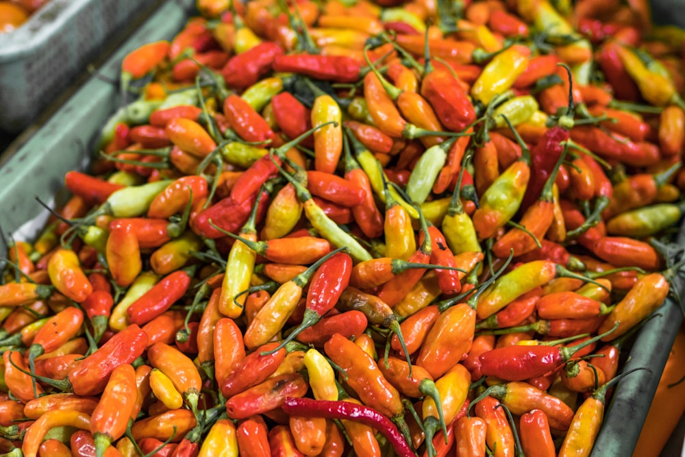 photo of bunch of chili